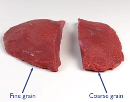 Thick Flank – seam cut - Escallops Meat Cut Spec Step 16